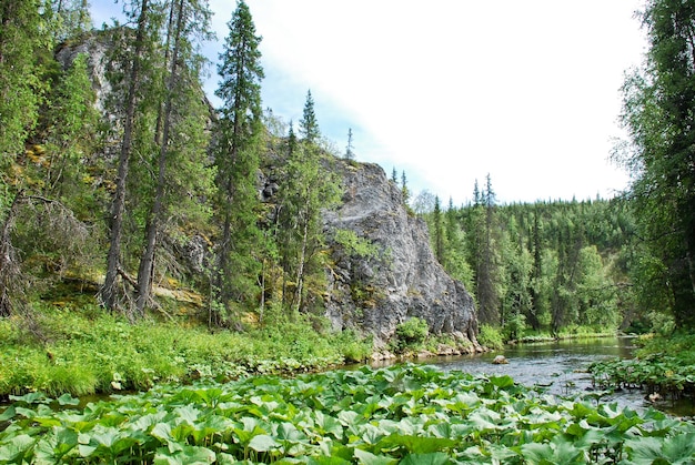 Felsen am Fluss Big Sarjuga