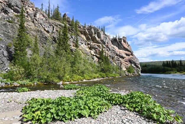 Felsen am Fluss Lemva