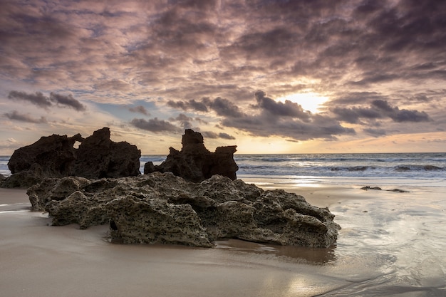 Felsen am matschigen Strand in Cadiz