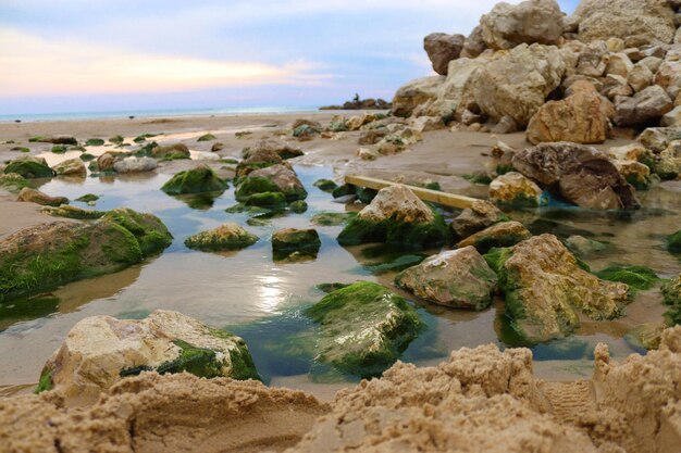 Foto felsen am strand gegen den himmel