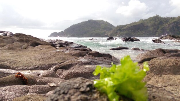 Foto felsen am strand gegen den himmel