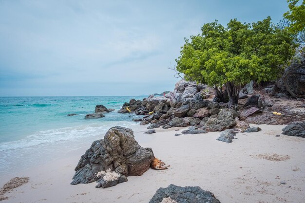 Foto felsen am strand gegen den himmel