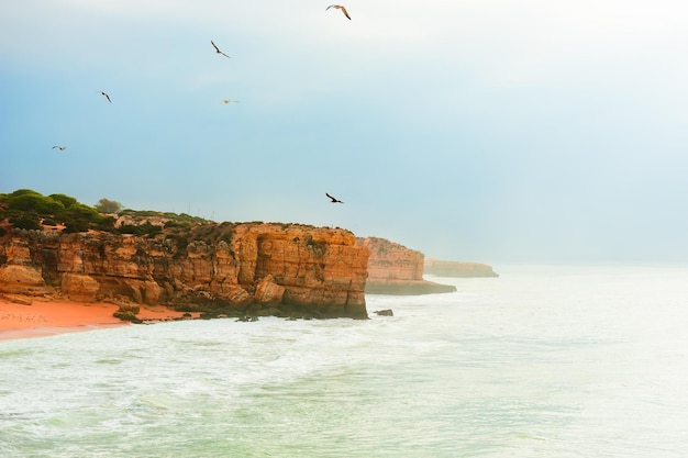 Felsen am Ufer des Atlantiks in Algarve, Portugal. Möwen schweben in den Himmel. Schöner Sommermeerblick, berühmtes Reiseziel