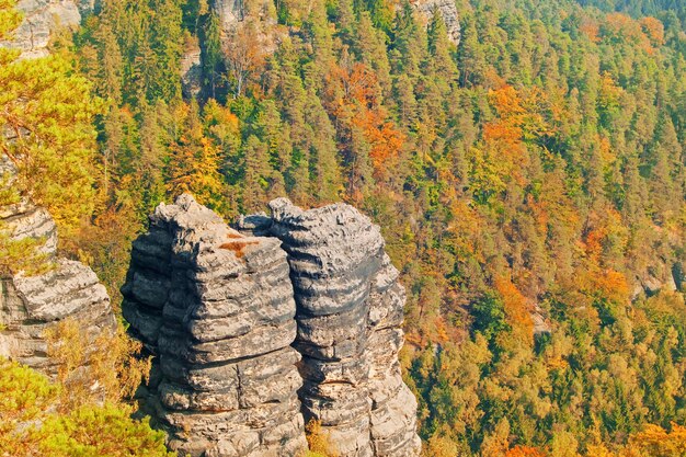 Felsen auf dem Waldhintergrund Getönt