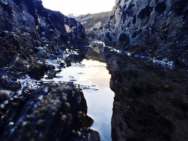 Foto felsen, die sich im wasser reflektieren