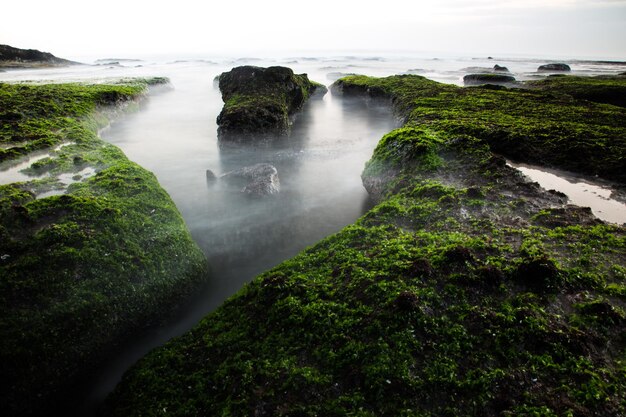 Foto felsen im meer