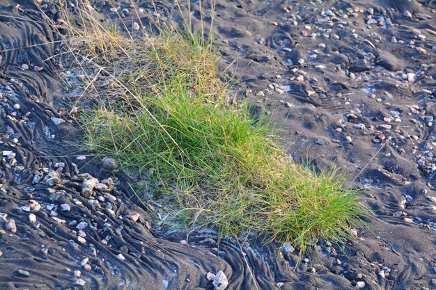 Foto felsen im meer