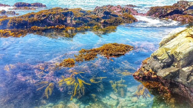 Foto felsen im wasser