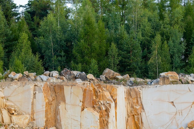 Felsen in einem Steinbruch grüne Bäume, die auf Steinen wachsen