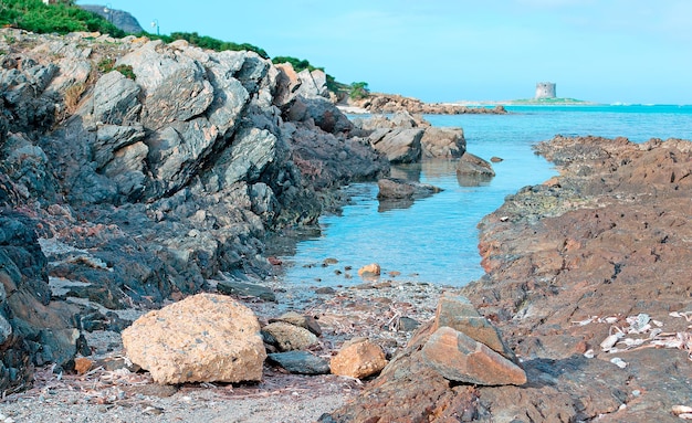 Felsen in Strand La Pelosa Stintino