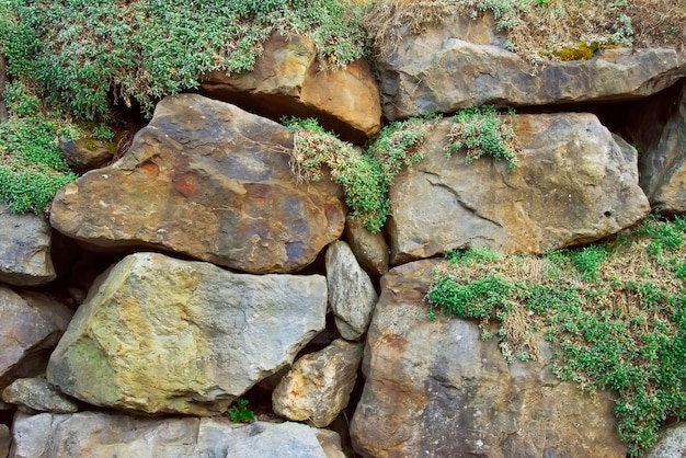 Felsen mit grünem Mooshintergrund