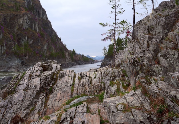 Felsen mit vertikalen Schichten divergieren Fächer am Ufer eines Gebirgsflusses Ein steiler Berg