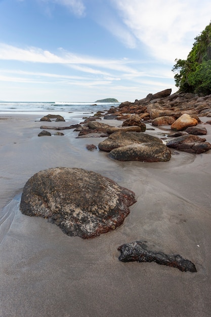 Felsen und Bäume in einem Strand in Brasilien.