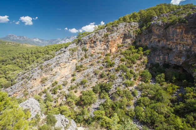 Felsen und Berge mit Vegetationsbäumen an klaren Tagen.