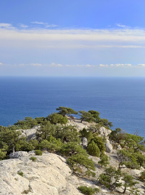 Felsen und das Meer