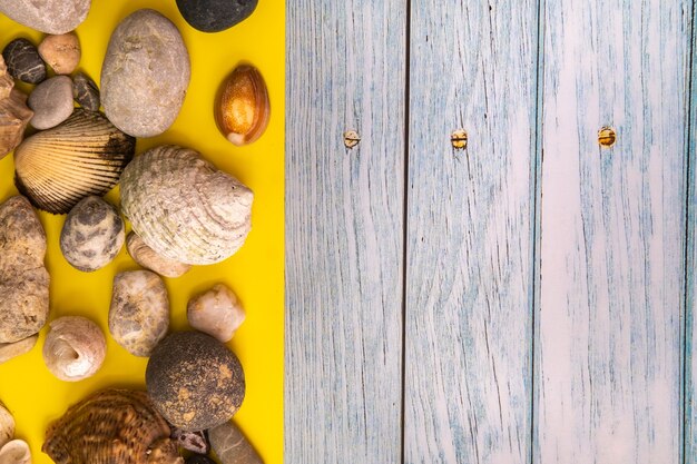 Felsen und Muscheln im Strandkonzept