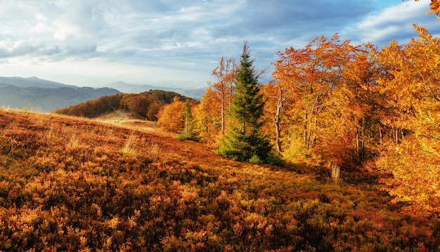 Felsenmassiv in den Karpaten