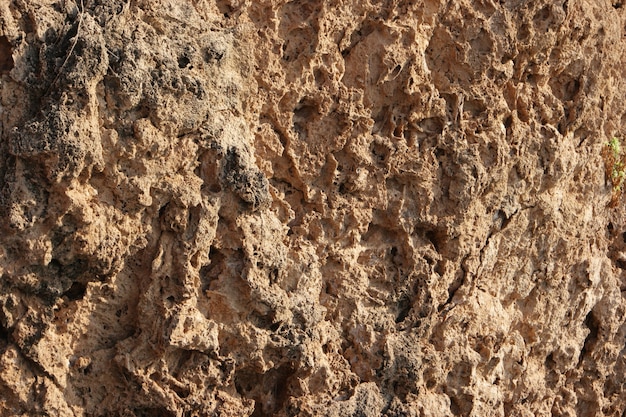 Felsformation Textur. Natürliches erodiertes Sandsteinmuster. Erosionstextur auf Felsformationen. Felsoberfläche hautnah.