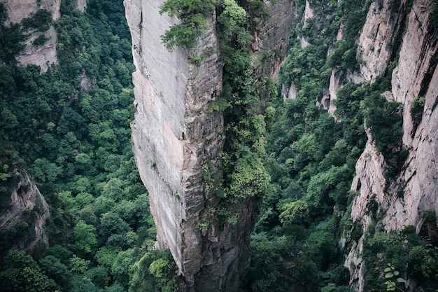 Foto felsformationen im nationalwaldpark zhangjiajie