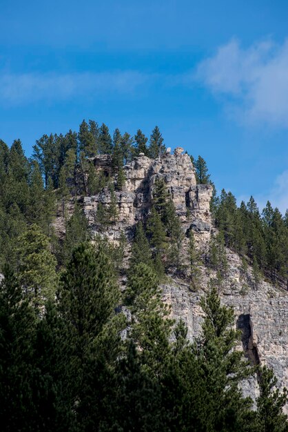 Felsformationen im Spearfish Caynon in den Black Hills von South Dakota