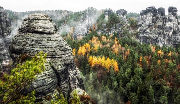 Felsformationen im tiefen Herbstwald im Nationalpark Sachsen-Schweiz in Deutschland