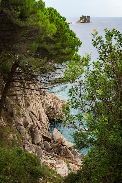 Felsige Klippe über dem türkisfarbenen Meer und Kiefern