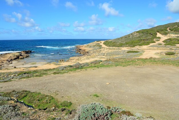 Felsige Küste in Argentiera Sardinien