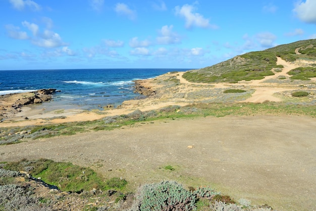 Felsige Küste in Argentiera Sardinien