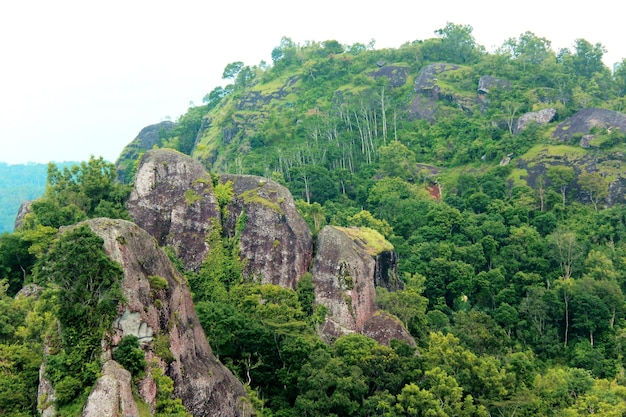 Felsiger Berg und Wald, Ngelanggeran Yogyakarta