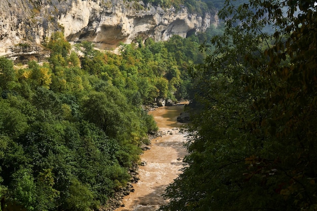 Felsiger Canyon mit einem schlammigen Bergfluss am Boden im Herbstwald