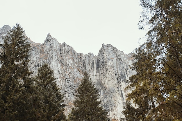 Felsiger Hügel und Fichtenwald