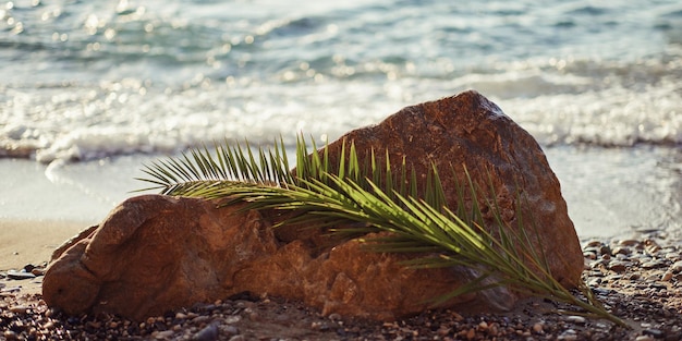 Felsiger Strand mit Palmblattferienhintergrund