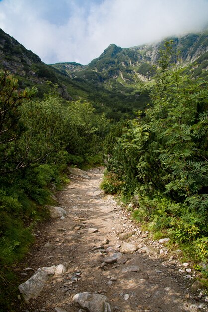 Felsiger Weg auf hohen Bergen im Sommer.