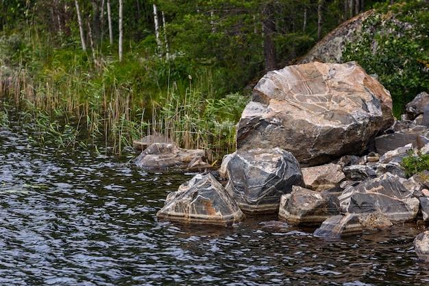 Foto felsiges flussufer mit mischwald.