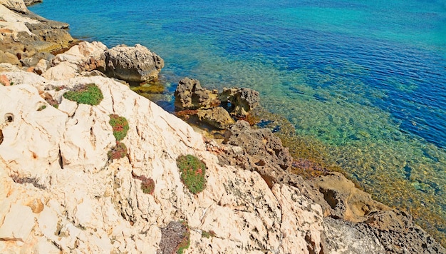 Felsiges Ufer und blaues Wasser in Sardinien