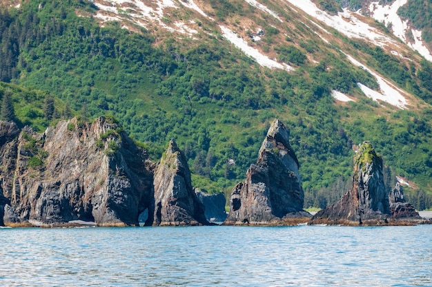 Felsvorsprünge in der Bucht von Seward in Alaska