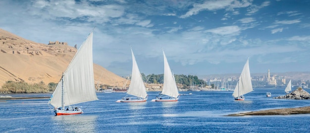 Felucca navegando no rio Nilo em Aswan, Egito. Um veleiro no Nilo.