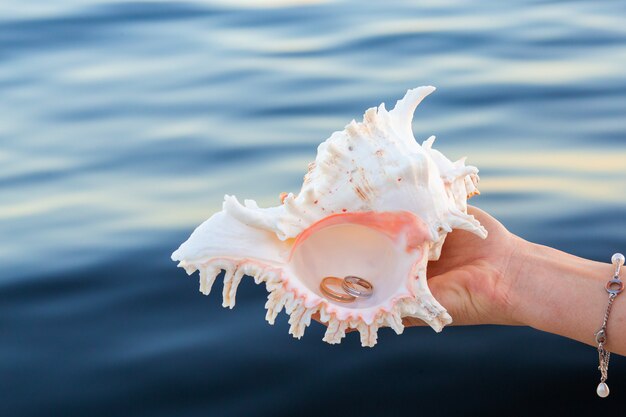 Feminino mão segura alianças de casamento em uma grande concha do mar