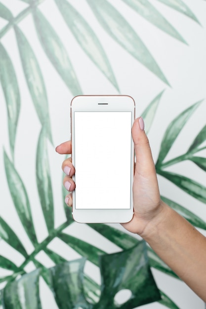 Foto feminino mãos segure o celular com tela branca nas folhas