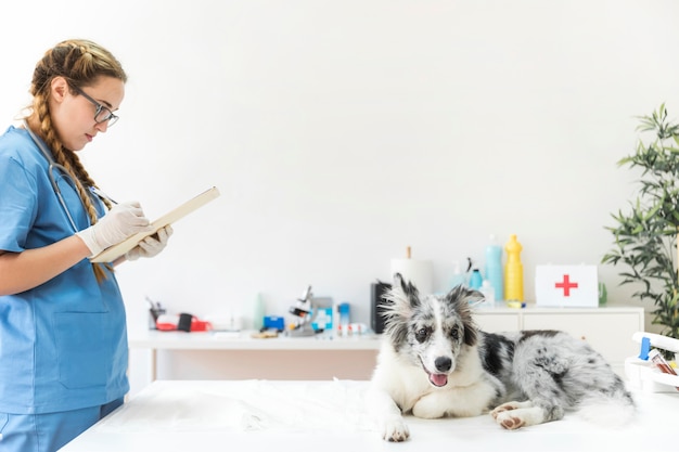 Foto feminino veterinário escrevendo na área de transferência com cachorro sentado na mesa na clínica