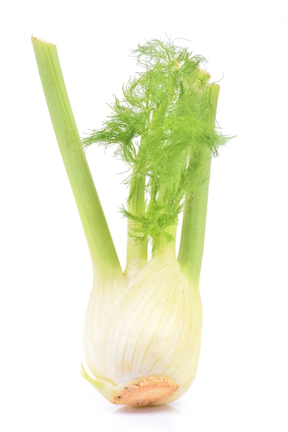 Fenchel auf weißem Hintergrund