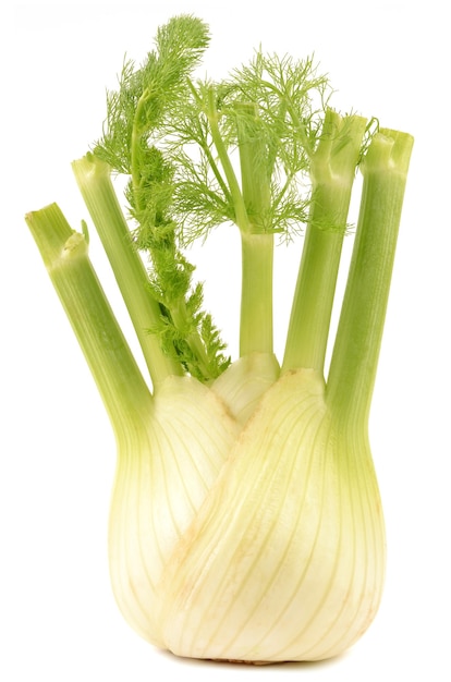 Fenchel auf weißem Hintergrund