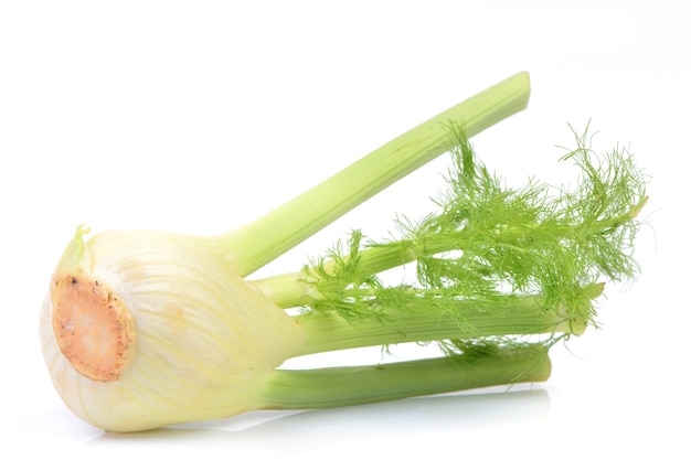 Fenchel isoliert