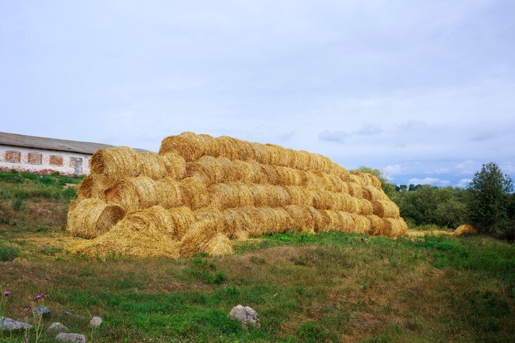 Foto feno empilhado num campo