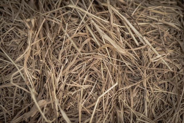 Foto feno fechar papel de parede de fundo de fardo macro pilha bege emaranhado palha ouro amarelo escuro