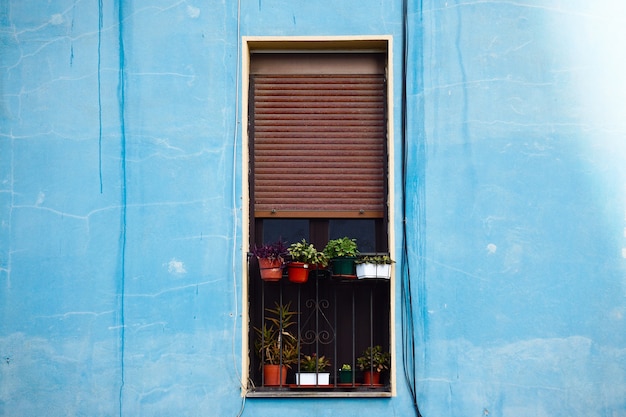 Fenster auf der blauen Gebäudefassade