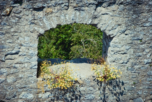 Foto fenster einer alten, verwitterten mauer