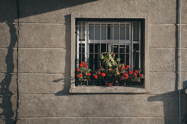 Fenster in der Fassade