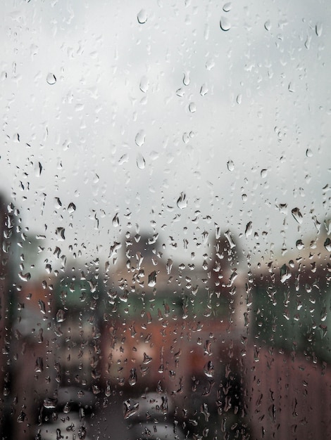 Fenster in der Regenstadt