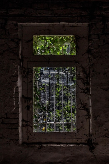 Foto fenster in einem verlassenen gebäude